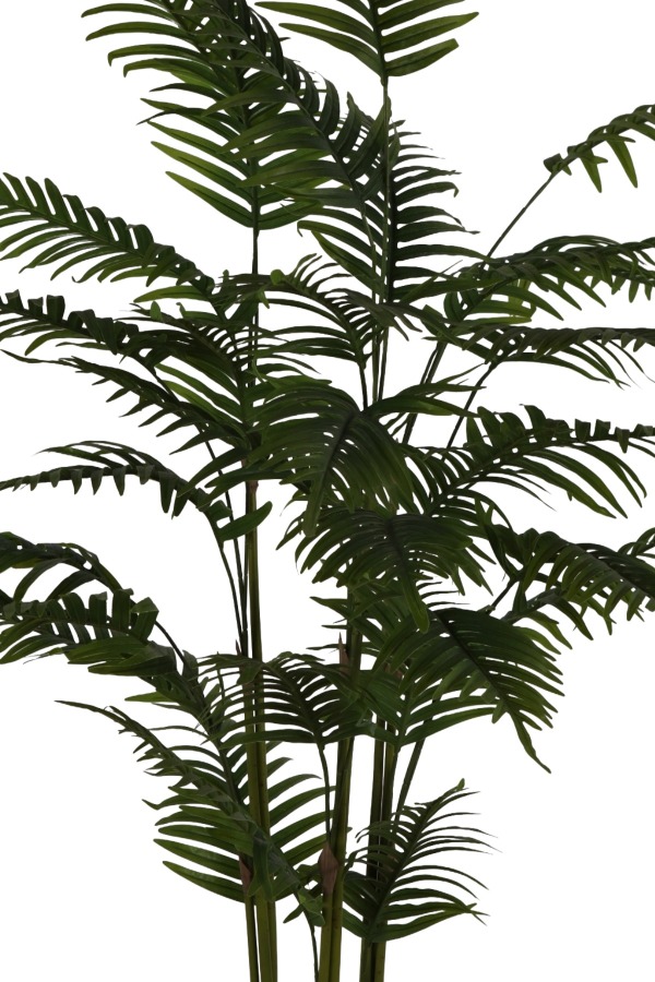 Siyah Fiber Saksıda 3 Gövdeli Yapay Areka Palmiye Ağacı 190 cm - 3