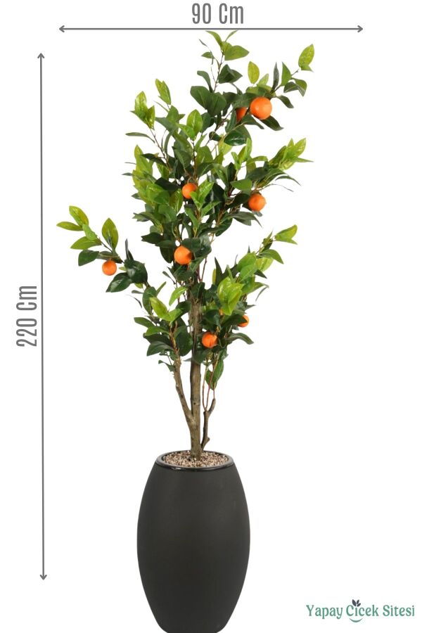 Siyah Fiber Saksıda Portakal Ağacı 220 cm - 1