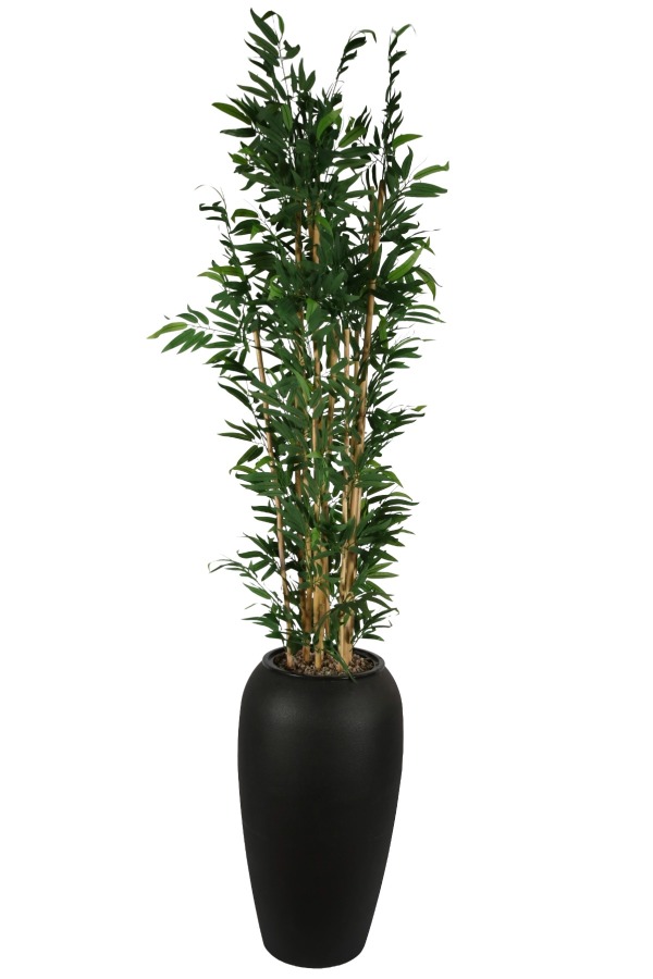 Siyah Fiber Saksıda Yapay Bambu Ağacı 305 cm - 2