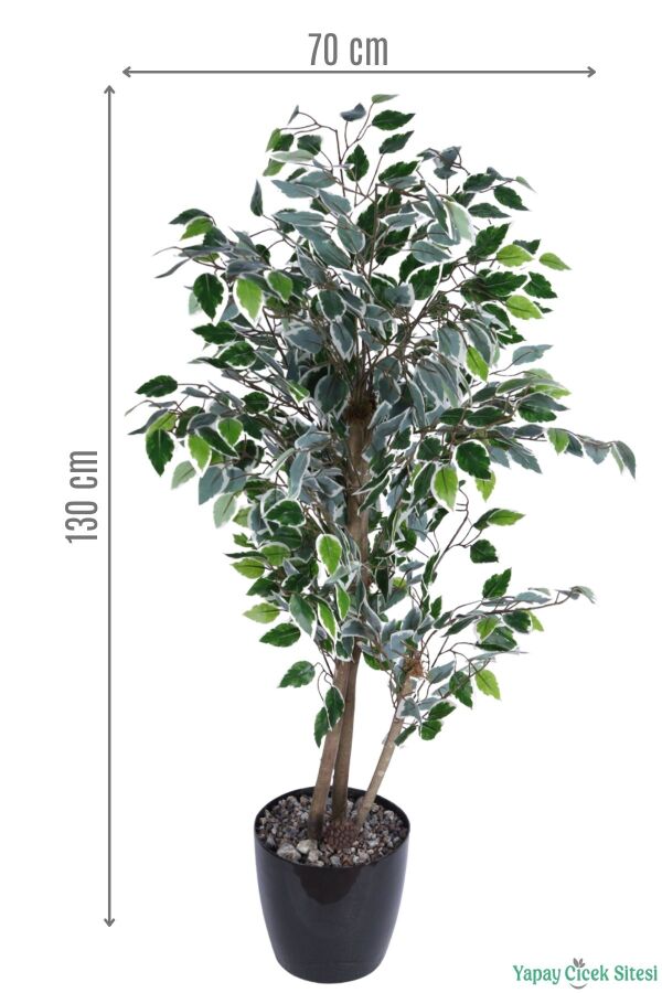 Siyah Saksıda Yapay Benjamin (Ficus) Ağacı 130 cm Yeşil-Beyaz - 2