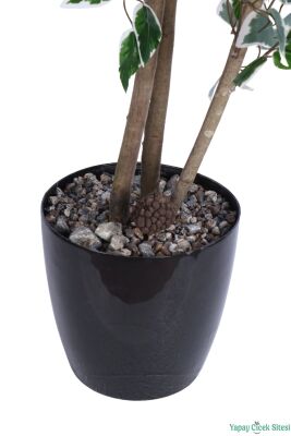 Siyah Saksıda Yapay Benjamin (Ficus) Ağacı 130 cm Yeşil-Beyaz - 4