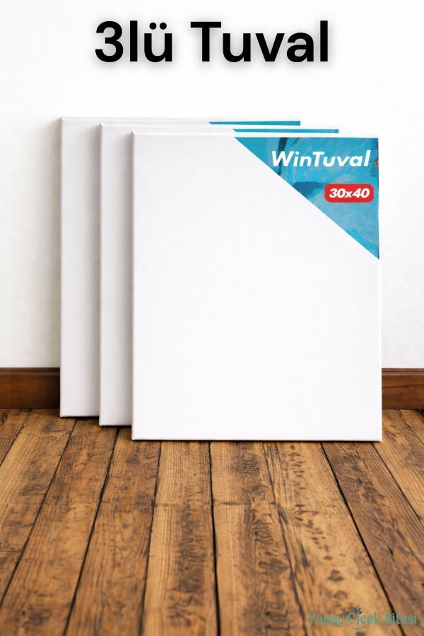 Standart Tuval 30x40 3lü - 1