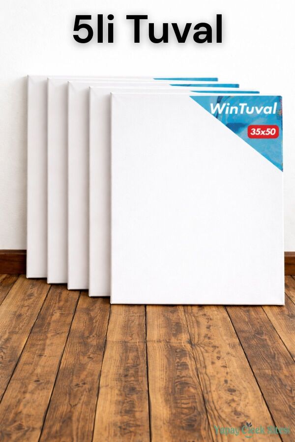 Standart Tuval 35x50 5li - 1