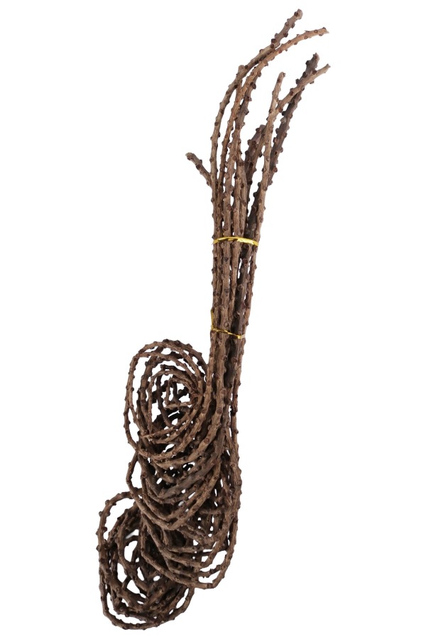 Kuru Çiçek Doğal Tail Angalia 50 cm 10lu - 2