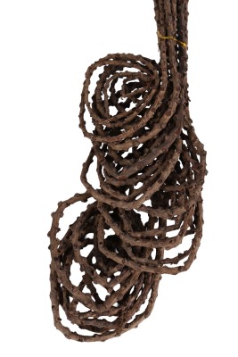 Kuru Çiçek Doğal Tail Angalia 50 cm 10lu - 3