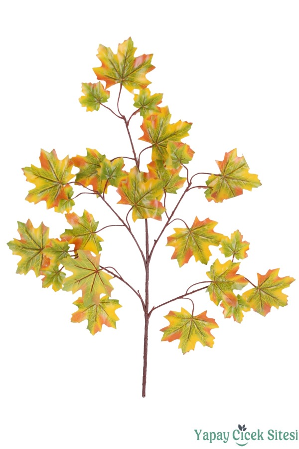 Yapay Akça Ağacı Dalı 25 Yapraklı 70 Cm 12 Adet Yeşil-Sarı - 1