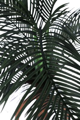 Yapay Areka Ağacı 160 cm Bohem Kiremit Saksıda - 2