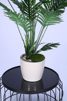 Yapay Areka Palmiye Ağacı 75 cm - 3