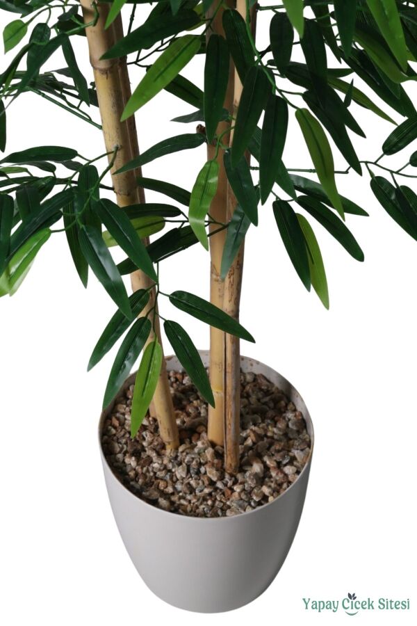 Yapay Bambu Ağacı 170 cm (Beyaz Saksılı) - 3