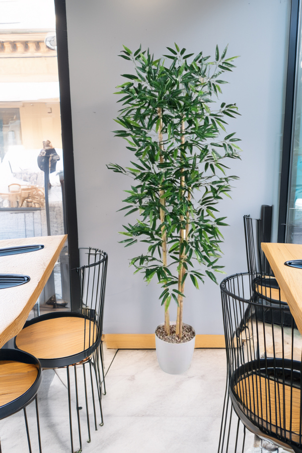 Yapay Bambu Ağacı 170 cm (Beyaz Saksılı) - 4