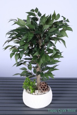 Yapay Premium Yapraklı Benjamin Ağacı Tanzimi 55 cm - Yapay Çiçek Sitesi