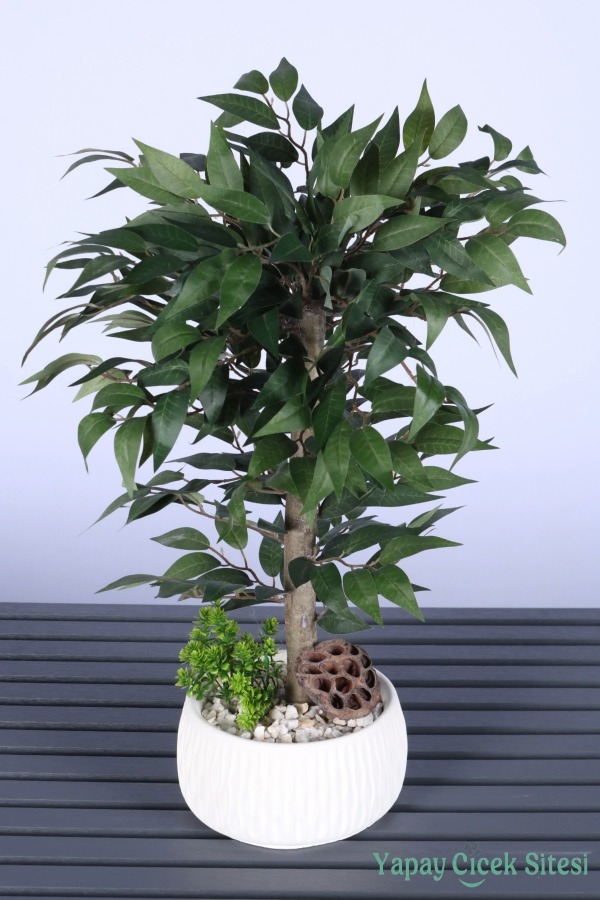 Yapay Premium Yapraklı Benjamin Ağacı Tanzimi 55 cm - 1