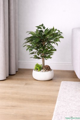 Yapay Premium Yapraklı Benjamin Ağacı Tanzimi 55 cm - 4