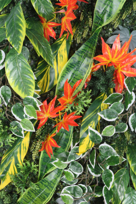 Yapay Bitkili Duvar Paneli 50x100 cm Model 9 - 5