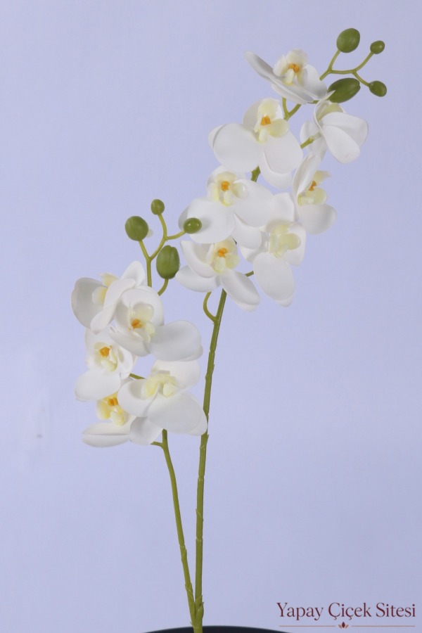 2 Dal Yapay Islak Dokuda 12 Kandilli Mini Orkide Çiçeği 55 cm Beyaz Sarı - 2