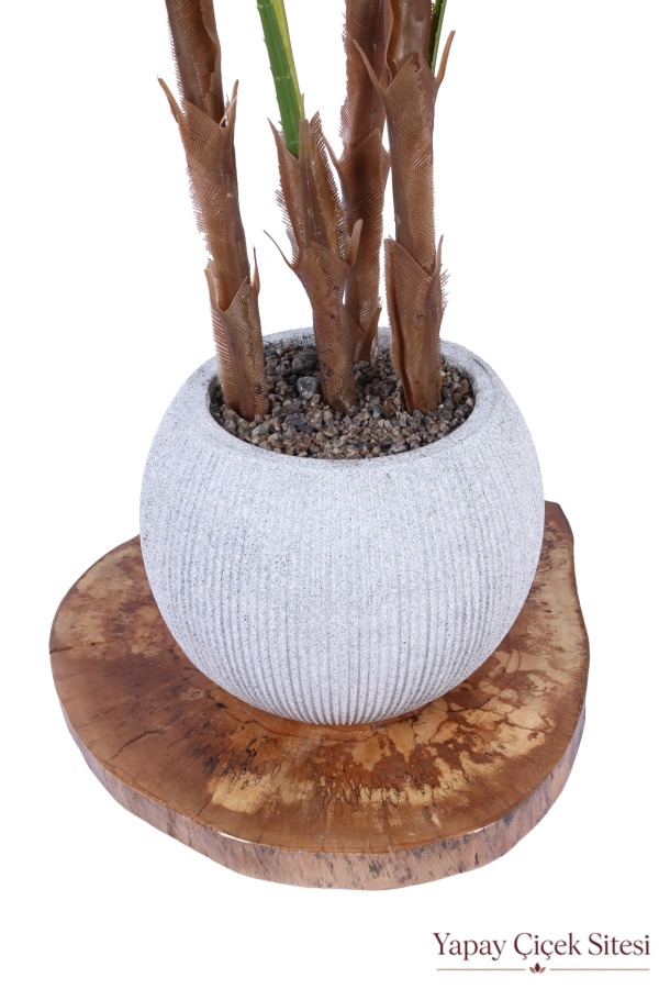 Bohem Küre Saksıda Yapay Palmiye Fanpalm Ağacı 155 cm - 2