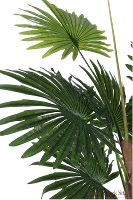 Bohem Küre Saksıda Yapay Palmiye Fanpalm Ağacı 155 cm - 3