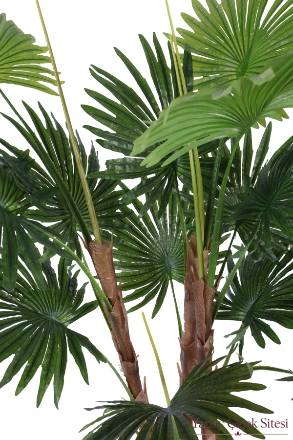 Bohem Küre Saksıda Yapay Palmiye Fanpalm Ağacı 155 cm - 4
