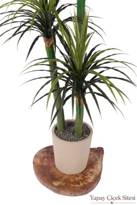  Bohem Saksıda Yapay 3 Gövdeli Drasena Marginata Ağacı 190 cm Yeşil - 2