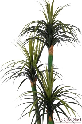  Bohem Saksıda Yapay 3 Gövdeli Drasena Marginata Ağacı 190 cm Yeşil - 3