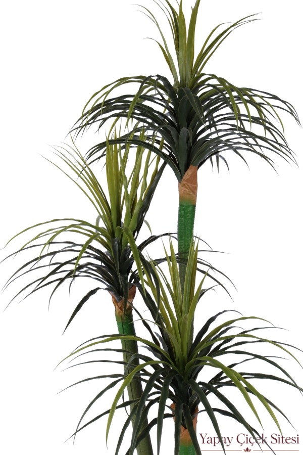  Bohem Saksıda Yapay 3 Gövdeli Drasena Marginata Ağacı 190 cm Yeşil - 3