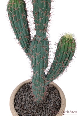  Bohem Saksıda Yapay 3 Kaktüs 97 cm Model 5 - 2