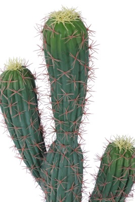  Bohem Saksıda Yapay 3 Kaktüs 97 cm Model 5 - 3