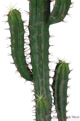 Bohem Saksıda Yapay Kaktüs 118 cm Model 1 - 3