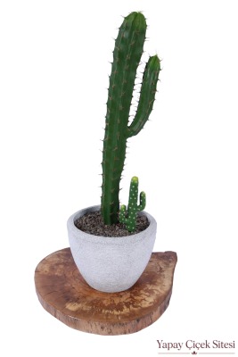 Bohem Saksıda Yapay Kaktüsü 97 cm Model 6 - 1