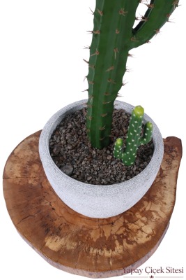 Bohem Saksıda Yapay Kaktüsü 97 cm Model 6 - 2