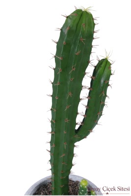 Bohem Saksıda Yapay Kaktüsü 97 cm Model 6 - 4