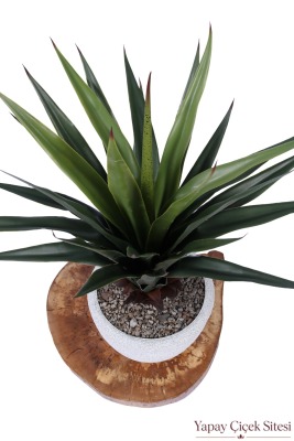Bohem Saksıda Yapay Kaliteli Agave Ağacı 95 cm - 2