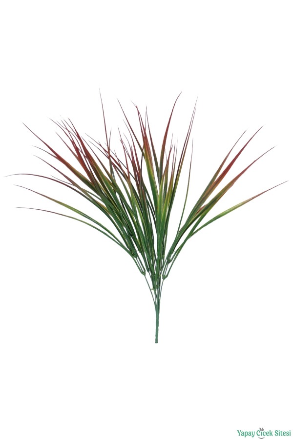 Kuru Çiçek Doğal Saz Çiçeği 50cm 6lı Kızıl-Yeşil - 2