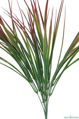 Kuru Çiçek Doğal Saz Çiçeği 50cm 6lı Kızıl-Yeşil - 3