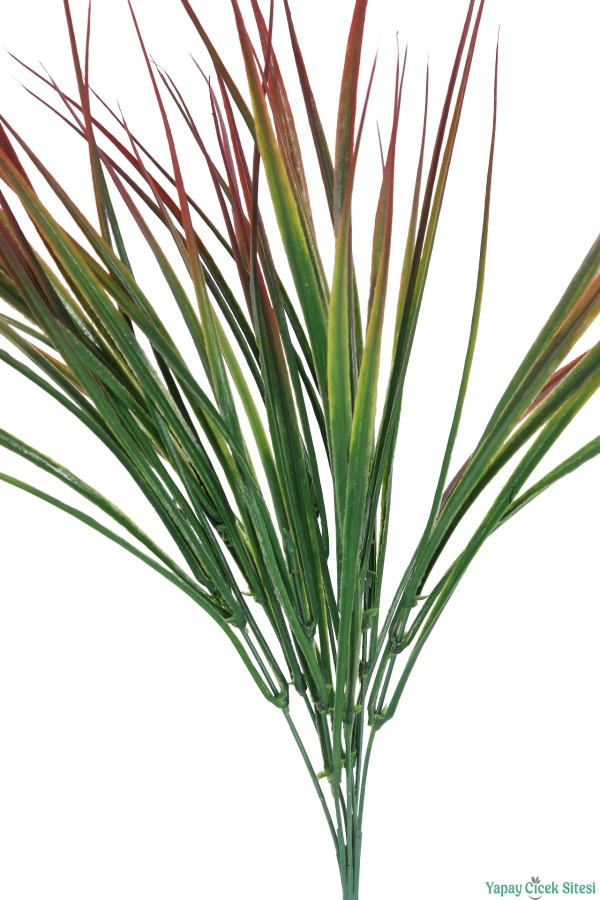 Kuru Çiçek Doğal Saz Çiçeği 50cm 6lı Kızıl-Yeşil - 3