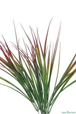 Kuru Çiçek Doğal Saz Çiçeği 50cm 6lı Kızıl-Yeşil - 4