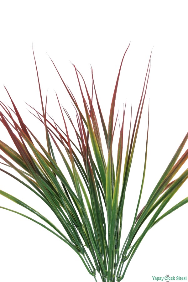 Kuru Çiçek Doğal Saz Çiçeği 50cm 6lı Kızıl-Yeşil - 4