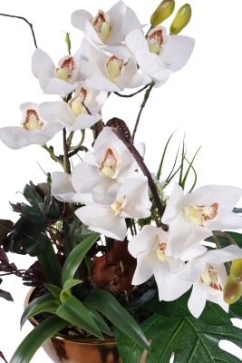 Metal Altın Vazoda Cymbidium Orkide Tanzimi 80cm Beyaz - 2