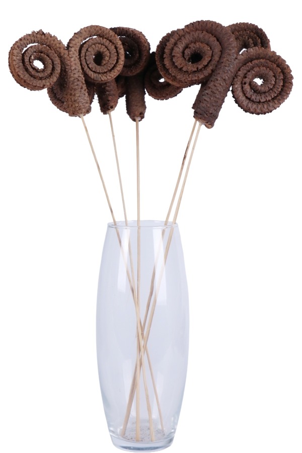 Kuru Çiçek Doğal Palm Ring 50 Cm 5 Adet - 2