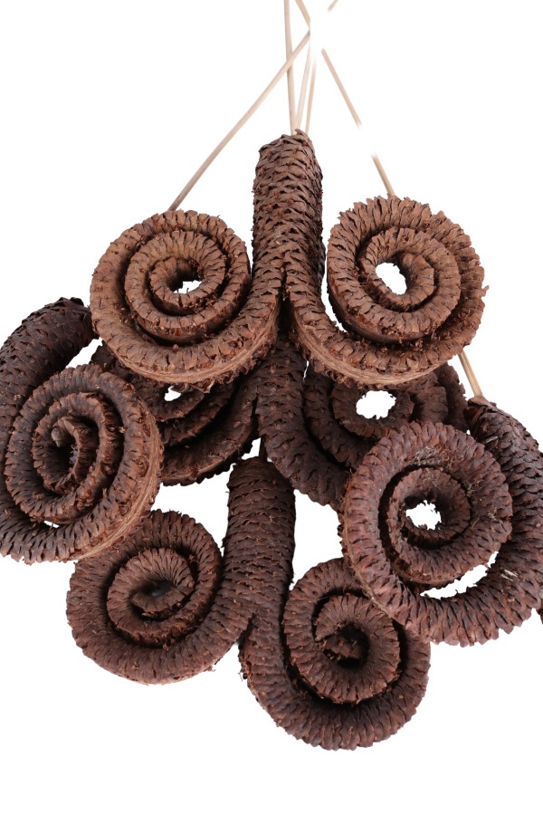 Kuru Çiçek Doğal Palm Ring 50 Cm 5 Adet - 4