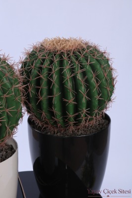 Plastik Saksıda 2'li Mini Yapay Kaktüs Aranjmanı 45 cm - 3
