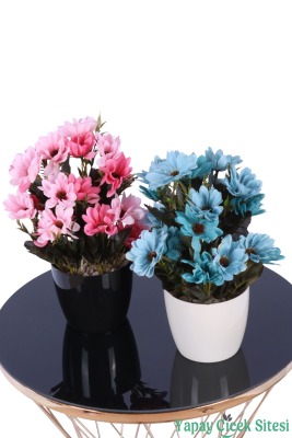 Plastik Saksıda Yapay Katmerli Papatya Tanzimi 2'li Set 25 cm - 5