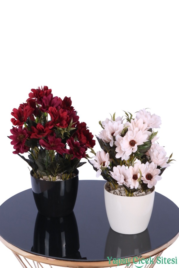 Plastik Saksıda Yapay Katmerli Papatya Tanzimi 2'li Set 25 cm - 13