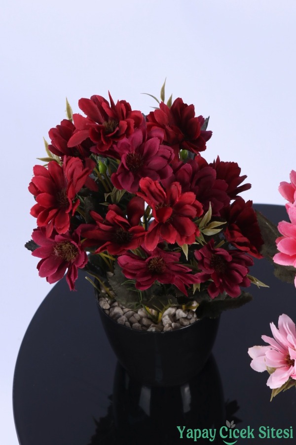 Plastik Saksıda Yapay Katmerli Papatya Tanzimi 2'li Set 25 cm - 18