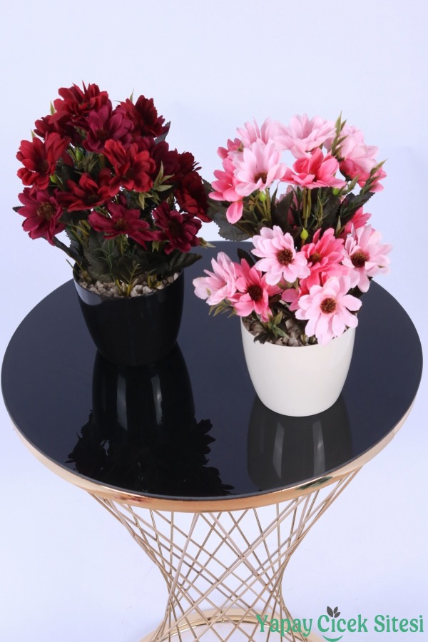 Plastik Saksıda Yapay Katmerli Papatya Tanzimi 2'li Set 25 cm - 20