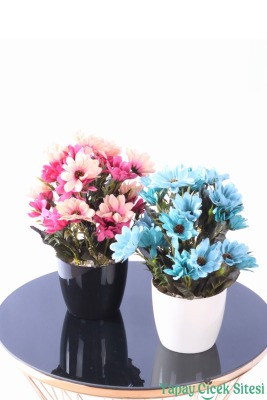 Plastik Saksıda Yapay Katmerli Papatya Tanzimi 2'li Set 25 cm - 21