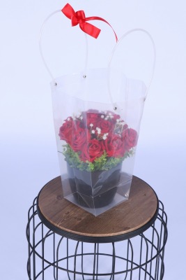 Saksılı Çiçek Aranjmanı (Şeffaf Çanta Hediyeli) Model 1 - 2