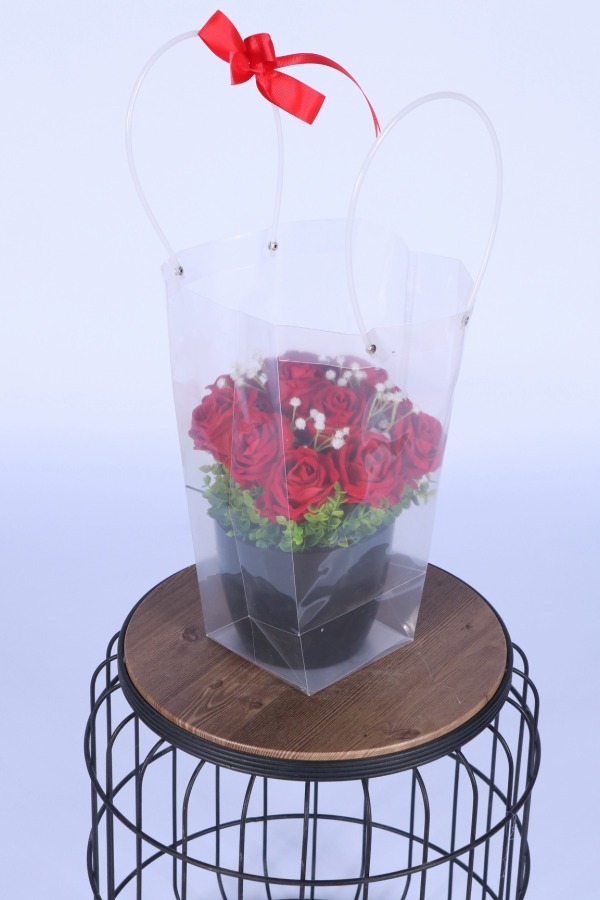 Saksılı Çiçek Aranjmanı (Şeffaf Çanta Hediyeli) Model 1 - 2