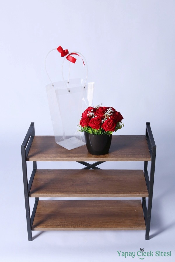 Saksılı Çiçek Aranjmanı (Şeffaf Çanta Hediyeli) Model 1 - 4