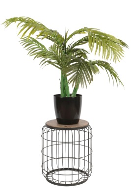 Yapay Çiçek Sitesi Siyah Plastik Saksıda Yapay Areka Ağacı 100 cm - Yapay Çiçek Sitesi